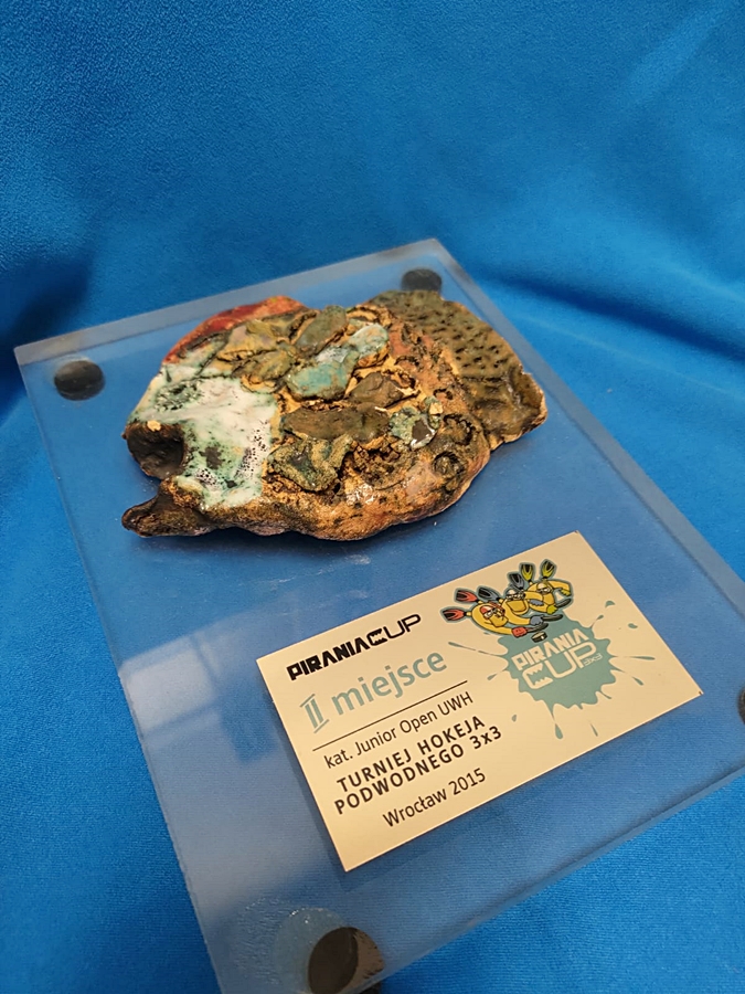 Hokej pod wodą Walenie UWH Siemianowice Śląskie